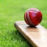 Bats, Balls, Helmets along with other Equipment for Cricket